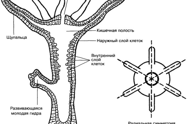 Кракен сайт at