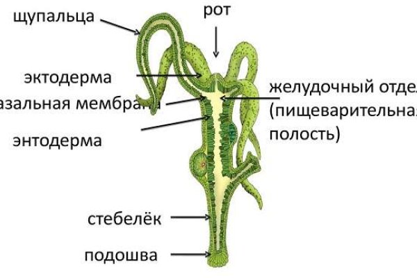 Кракен наркотики россия