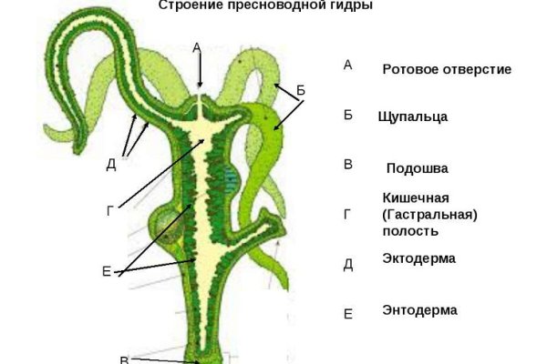 Взломали кракен аунтификатор