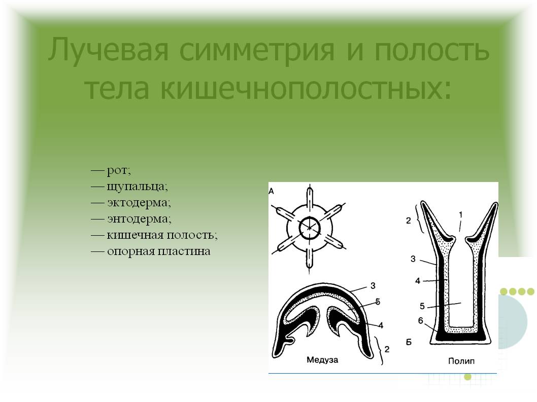 Кракен продажа